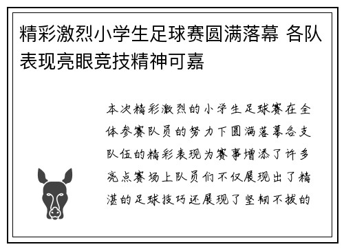 精彩激烈小学生足球赛圆满落幕 各队表现亮眼竞技精神可嘉